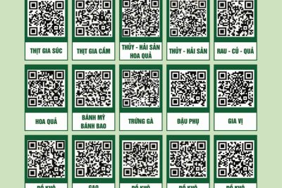 BẢNG MÃ QR CODE